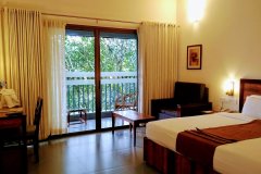 Aba-Green-Forest-Thekkady-10