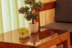 Golden-Fern-Resort-Shimla-6