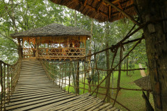 Greenwoods-Resort-Thekkady-9