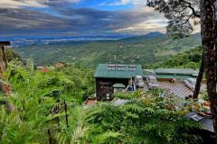 Kasauli-Exotica-5