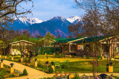 The-Orchard-Retreat-Spa-Srinagar-3