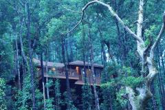 The-Tamara-Coorg-5