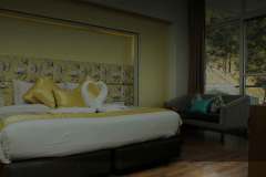 Wood-Creek-Resort-Spa-Kasauli-6